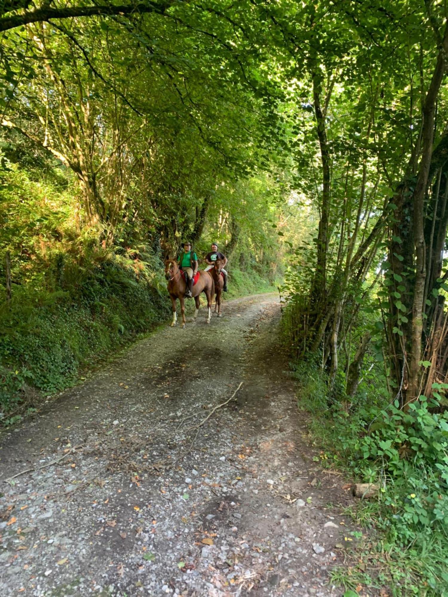 Agroturismo Gure Naia Carranza Zewnętrze zdjęcie